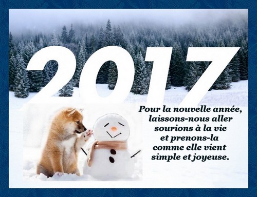 IMAGIER COLLECTIF - Page 6 Pournouvelleannee