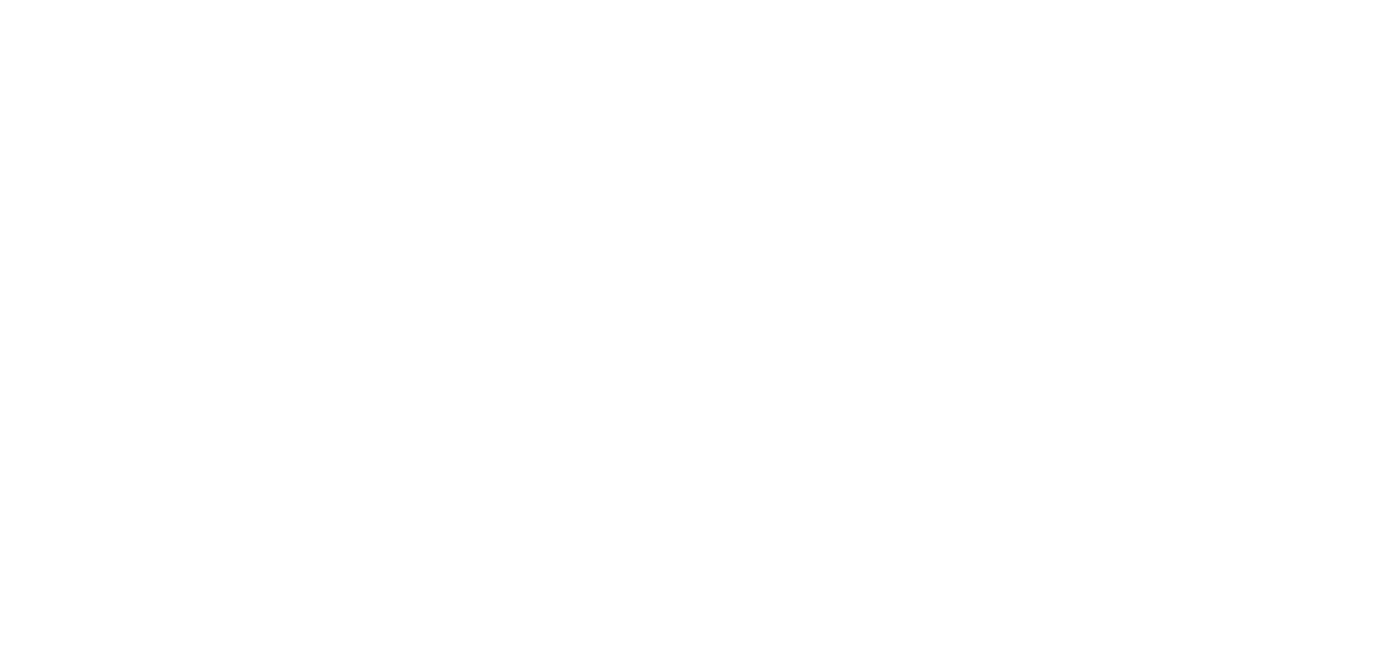 Leadfox